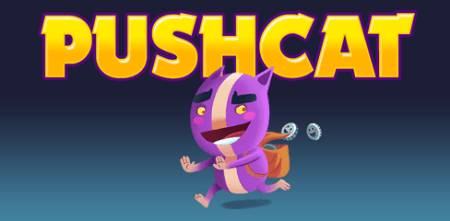 Review: Pushcat